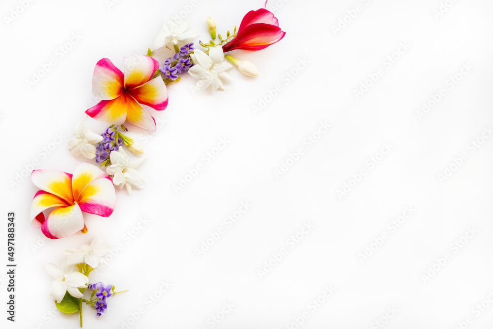 colorful flowers frangipani, jasmine local flora of asia arrangement flat lay postcard style on background white 