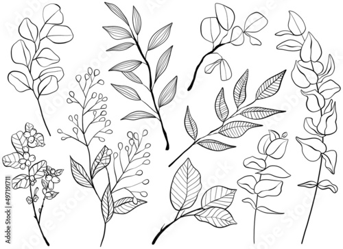 Set of botanical clipart elements. Collection of flowers, branches and leaves. Wildflowers. Line art illustration.