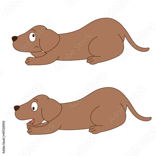 ダックスフント