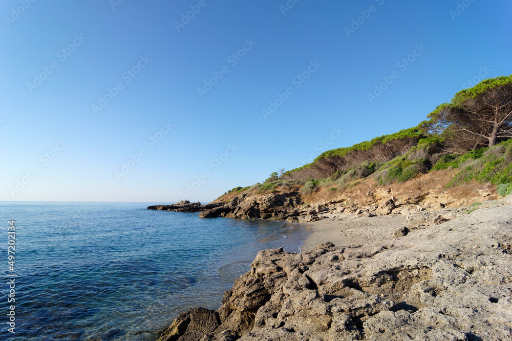 Bravonne beach in eastern coast of Corsica island