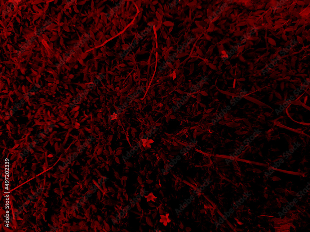 dark red colour with abstract texture dark red colour with abstract texture