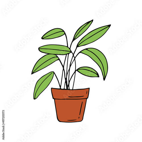 houseplant in a pot icon hand drawn. vector, minimalism, scandinavian, doodle, cartoon. sticker, spathiphyllum, plant, flower.