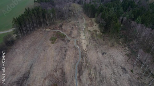 A felled place in the woods in an effort to prevent the spread of the parasitic bark beetle, a view of a winding road. Svitavy, Vodárenský les photo