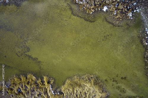 water surface of the lake and reeds top view background backdrop