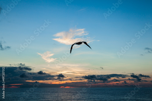 Ocean after sunset and a seagull flies in the sky.