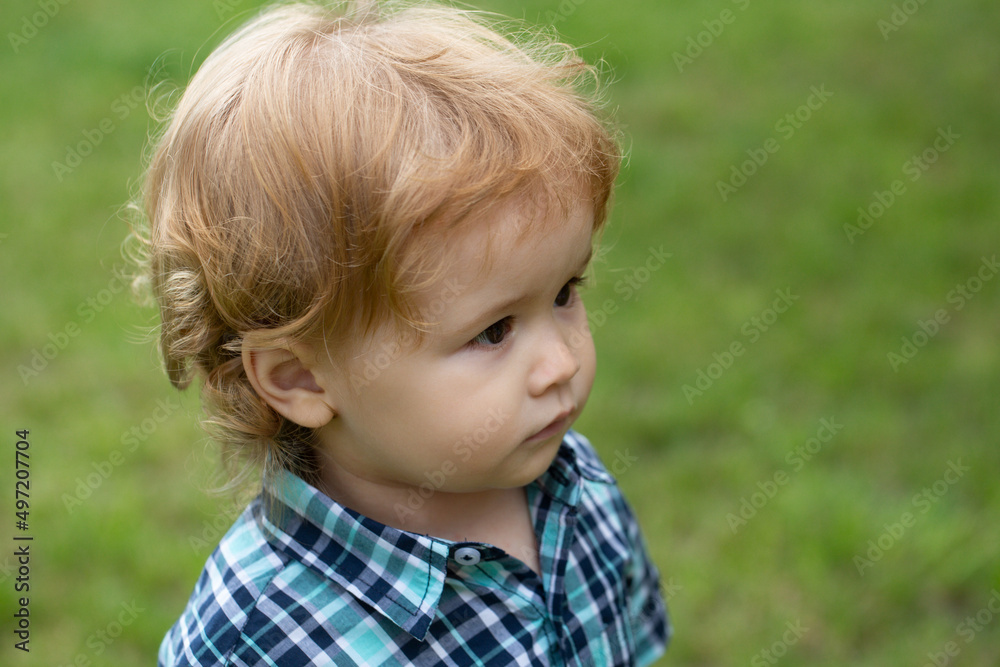 Baby child in grass on the fieald at summer. Cute kid walking outdoors. Baby child in grass on the fieald at summer. Cute kid walking outdoors.
