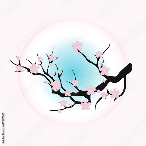 sakura