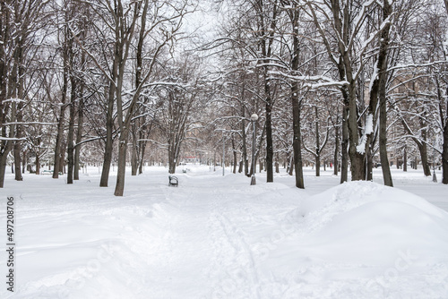 Snow-covered trees in the city park. Couple on a walk. High quality photo