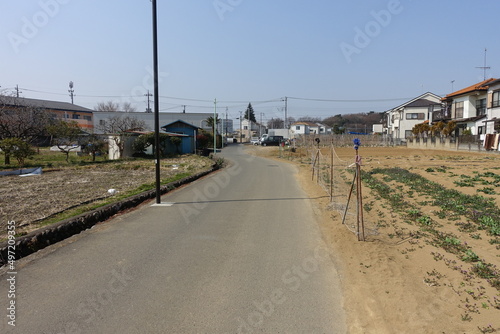 多摩地区の道