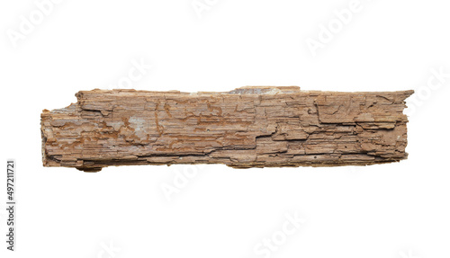 Fragment of dead rotten wood taken from the forest, full focus, clipping path, no shadows. Dead rotten wood - an element for design, the concept of ecology and dead wood.