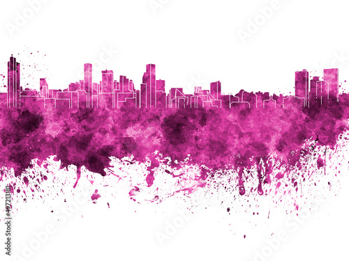 Baltimore skyline in pink watercolor on white background