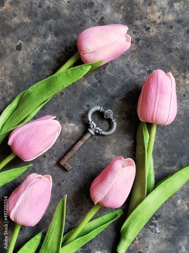 Bouquet of pink tulips with old vintage key on black concrete background. Spring flatlay with flowers. photo