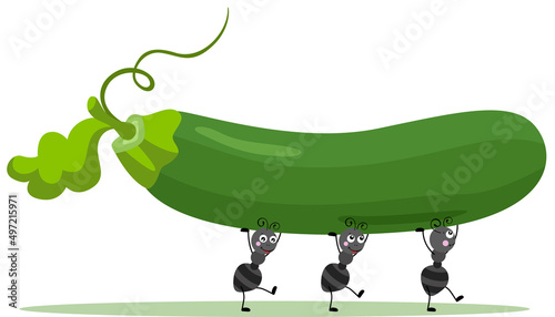 Cute ants carrying a fresh green courgette