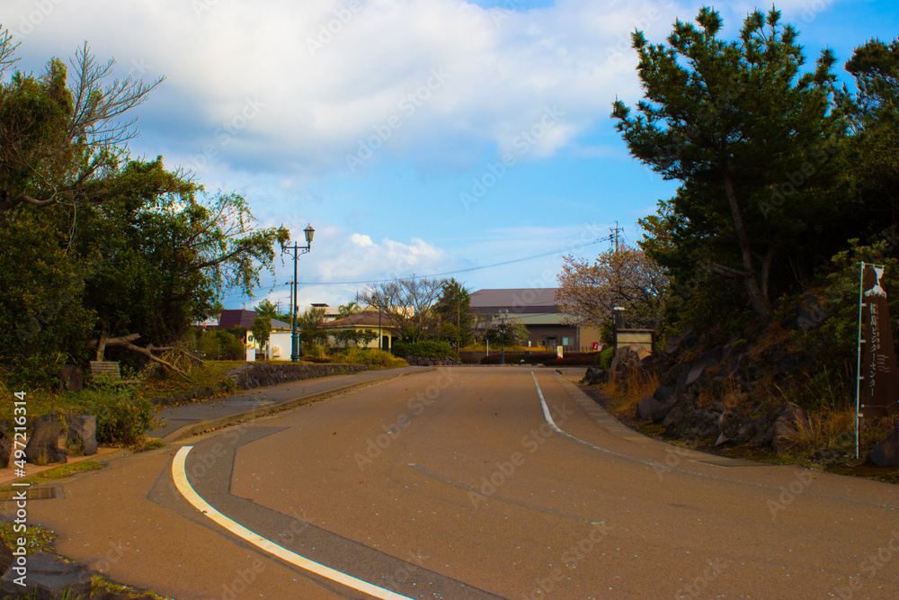 桜島の道路