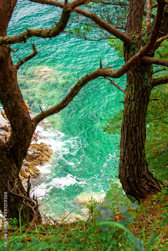 beautiful view of the sea, rocks and hanging trees, beautiful sky. beautiful view of nature. beautiful view of the sea, rocks and hanging trees, beautiful sky. beautiful view of nature.