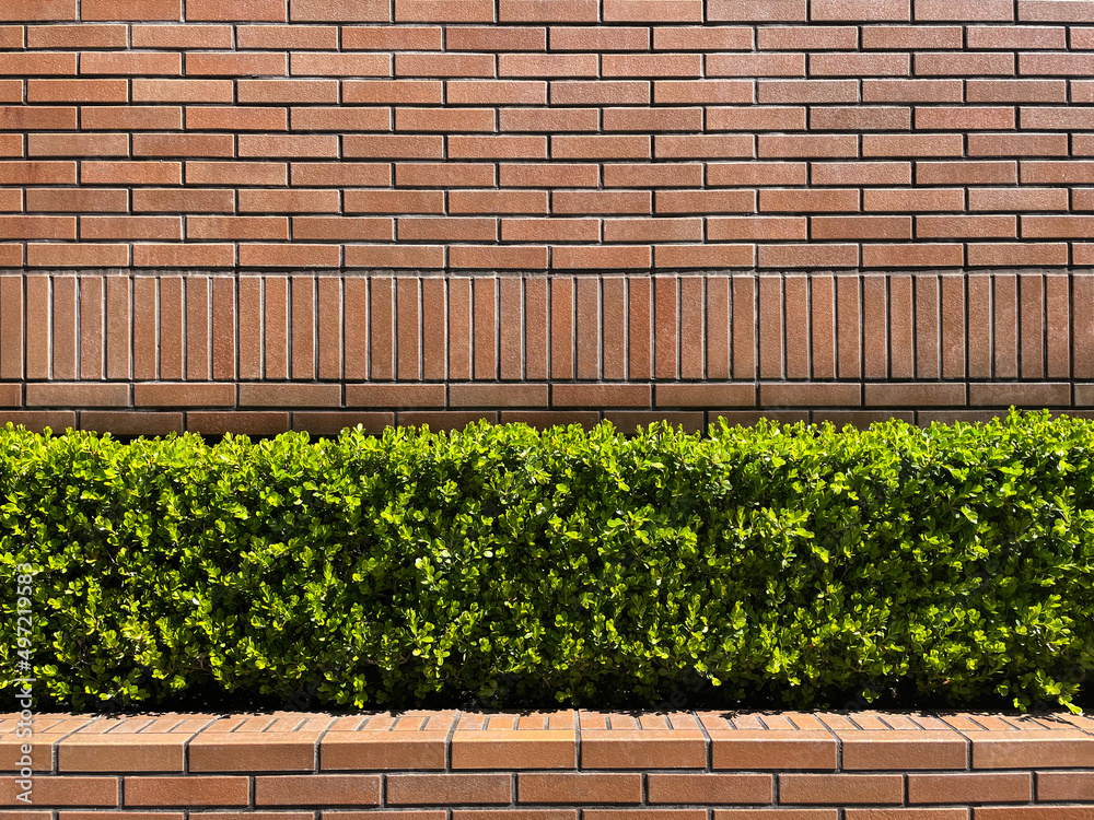 煉瓦塀と植込み Stock 写真 | Adobe Stock