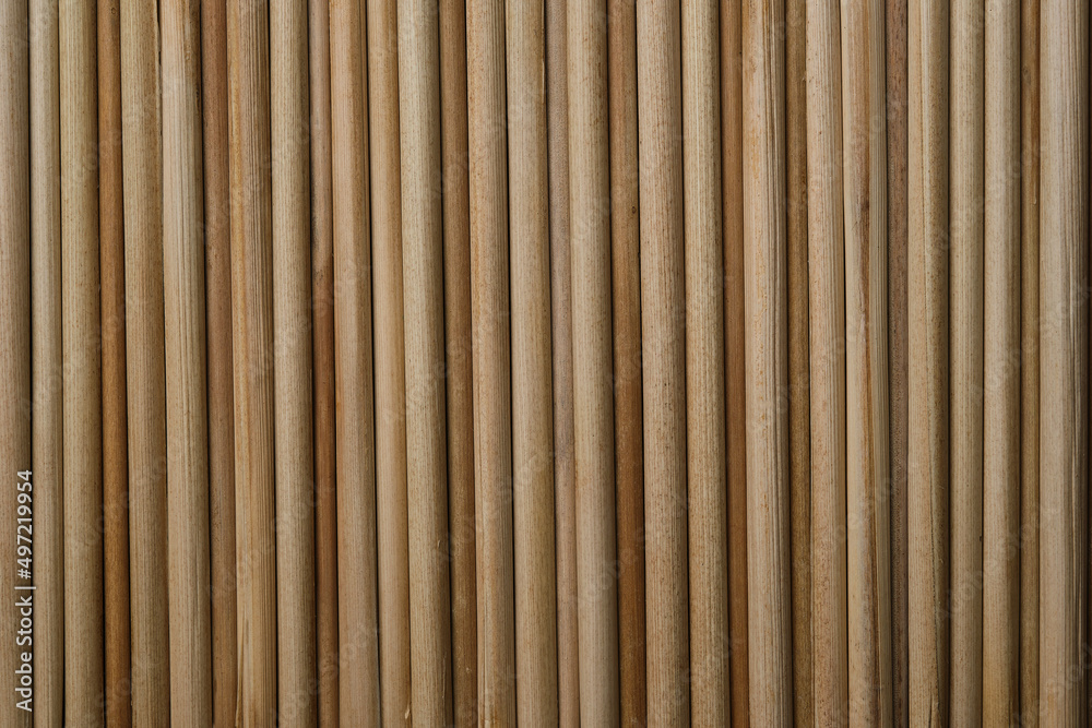 Texture dry reed stalks closeup