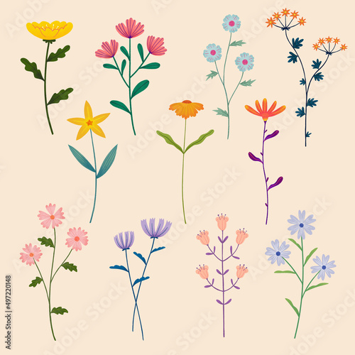 Set of Flowers