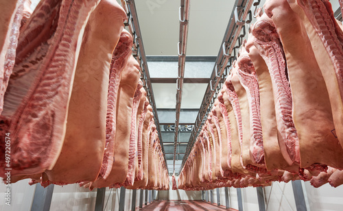Obraz na plátně Refrigerator meat storage with handing sides in pork butchery.