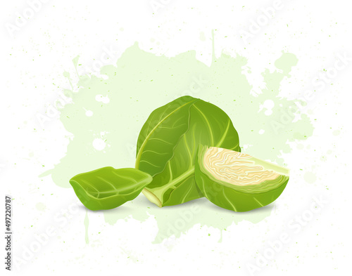 Brussels Sprout with half piece of brussels sprouts and leaves vector illustration