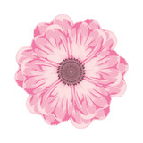 flower isolated flat
