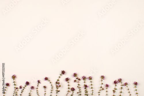 Ramas y flores de farigola haciendo dibujo de campo y primaveral