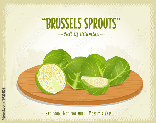 Brussels sprouts vegetable  vector illustration on brown background