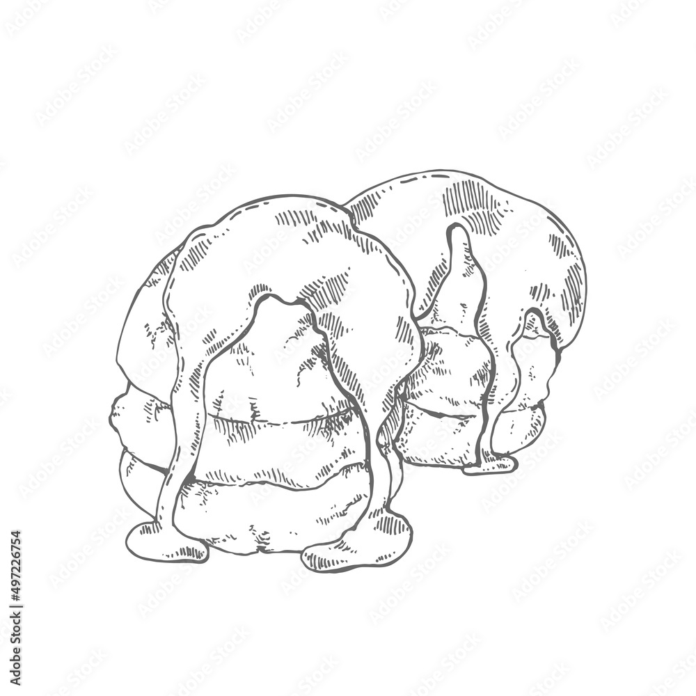 Hand drawn vector french cream profiteroles cakes Hand drawn vector french cream profiteroles cakes
