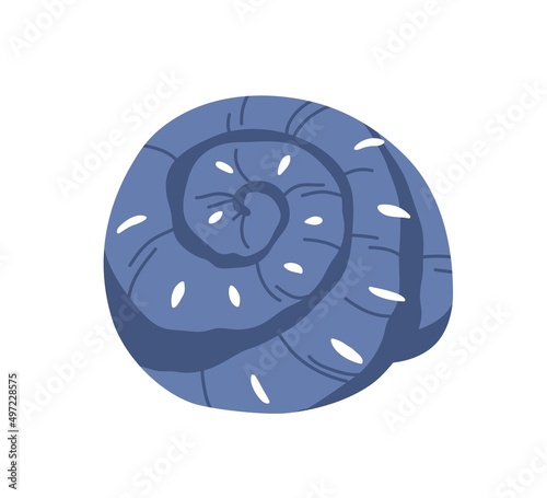 Snail seashell. Marine underwater swirled sea shell. Undersea mollusc. Spital...