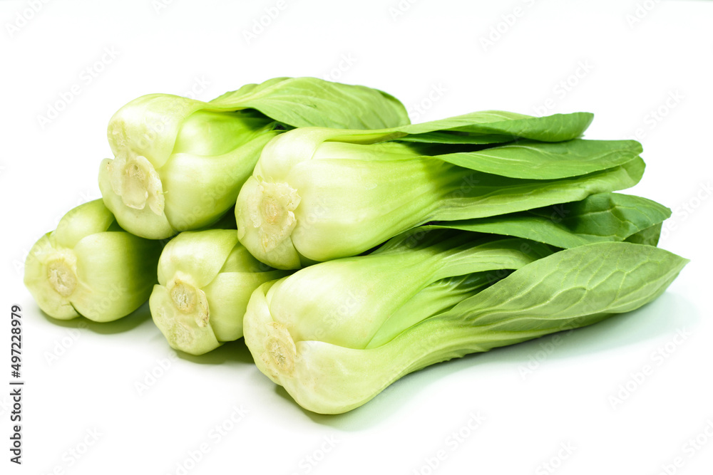 Fresh crop growing on the ground Fresh crop growing on the ground