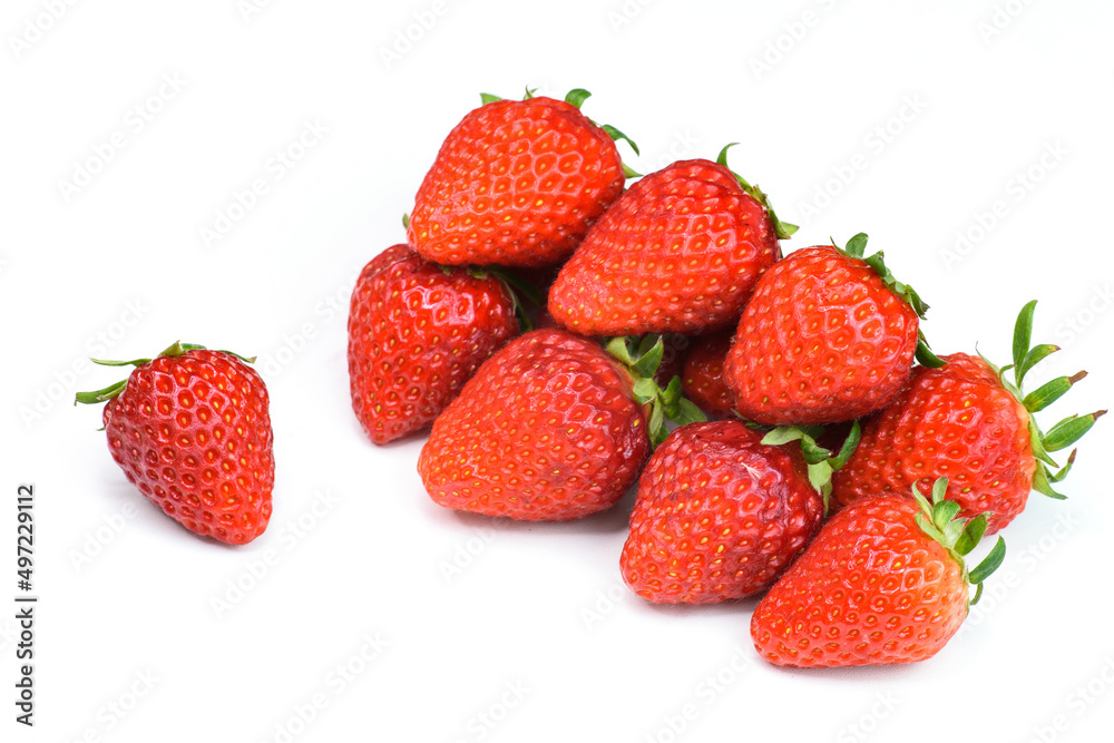 Fresh crop growing on the ground Fresh crop growing on the ground
