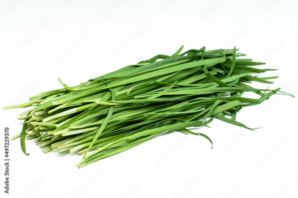 Fresh crop growing on the ground Fresh crop growing on the ground