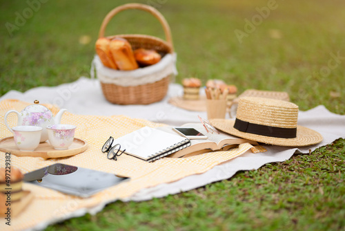 Beautiful summer picnic a the green park with pastries basket and accessories