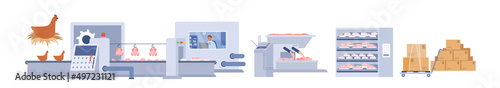 Wide set of chicken meat factory production. Agricultural poultry industry, broiler sustainable farming, hen meat processing and manufacturing cartoon vector illustration