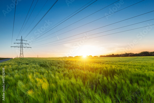 Stampa su tela cornfield before sunset at dusk with power pole concept image