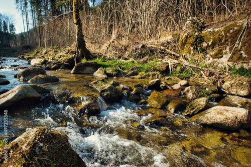 Splashing water of a river flowing through rocks and spring green forest on a sunny afternoon. photo