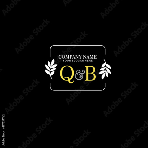 QB Beauty vector initial logo art handwriting logo of initial signature, wedding, fashion, jewelry, boutique, floral