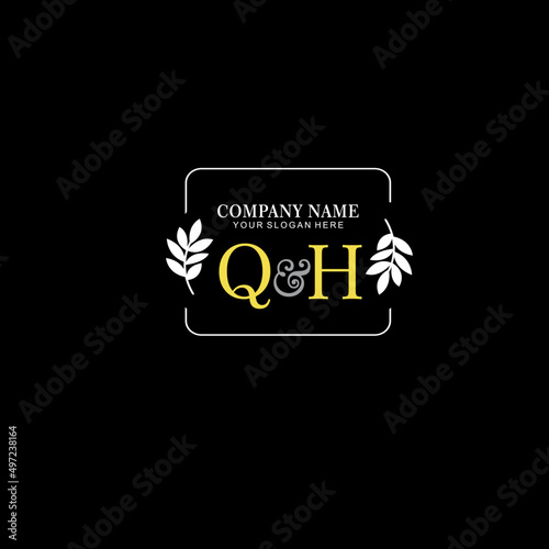 QH Beauty vector initial logo art handwriting logo of initial signature, wedding, fashion, jewelry, boutique, floral