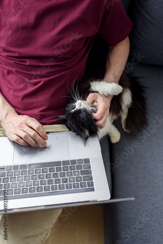 Man working on laptop with his cat near him. Stroking, relaxing