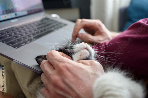 Man working on laptop with his cat near him. Stroking, relaxing