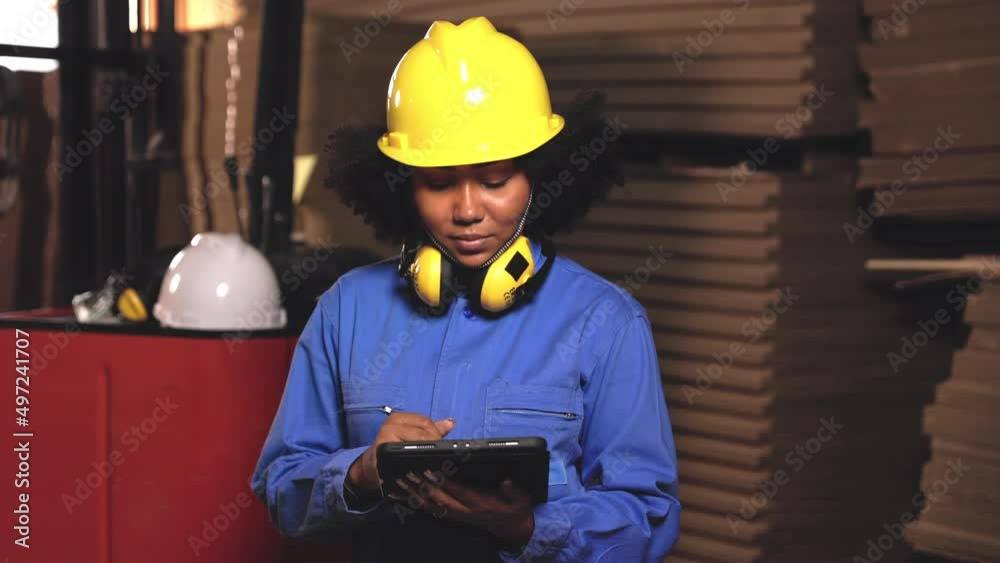 Vidéo Stock Engineer asian and african woman wearing safety helmet and ...
