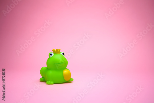 Frog princess