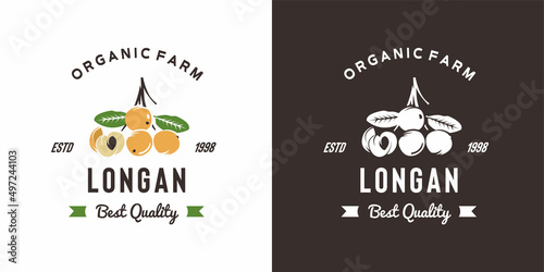 vintage longan fruit logo illustration suitable for fruit shop and fruit farm photo