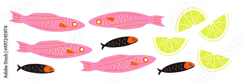 Fishes vector set. Abstract hand drawn seafood illustrations. Cartoon flat illustration.