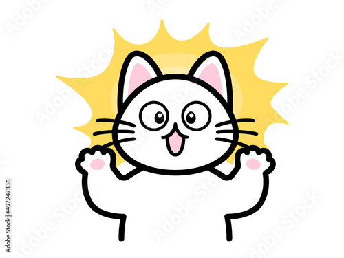 びっくりする猫