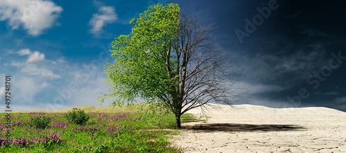 Climate change concept. Tree in two parts with green and healthy nature versus drought and polluted nature. 3D rendering.