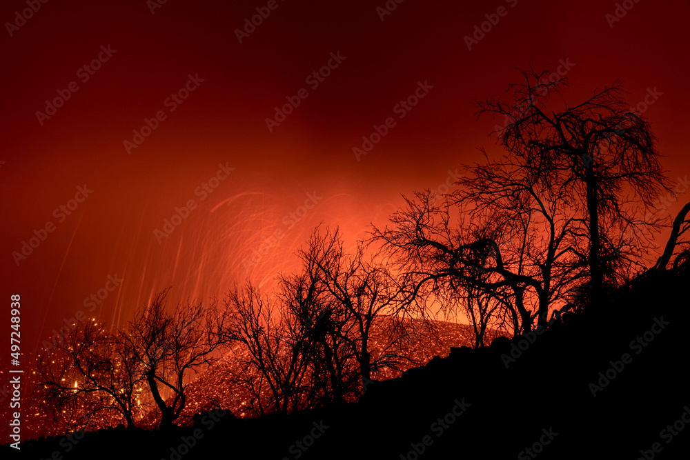 Trees silhouette over  volcano eruption