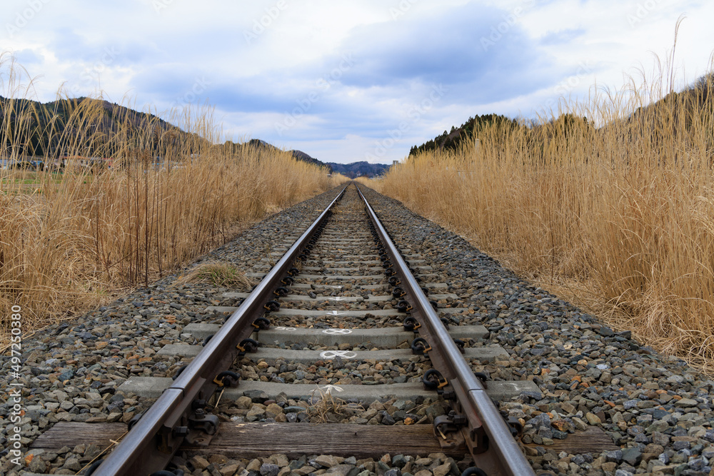 Fototapeta premium 真っすぐ伸びる地方鉄道の線路