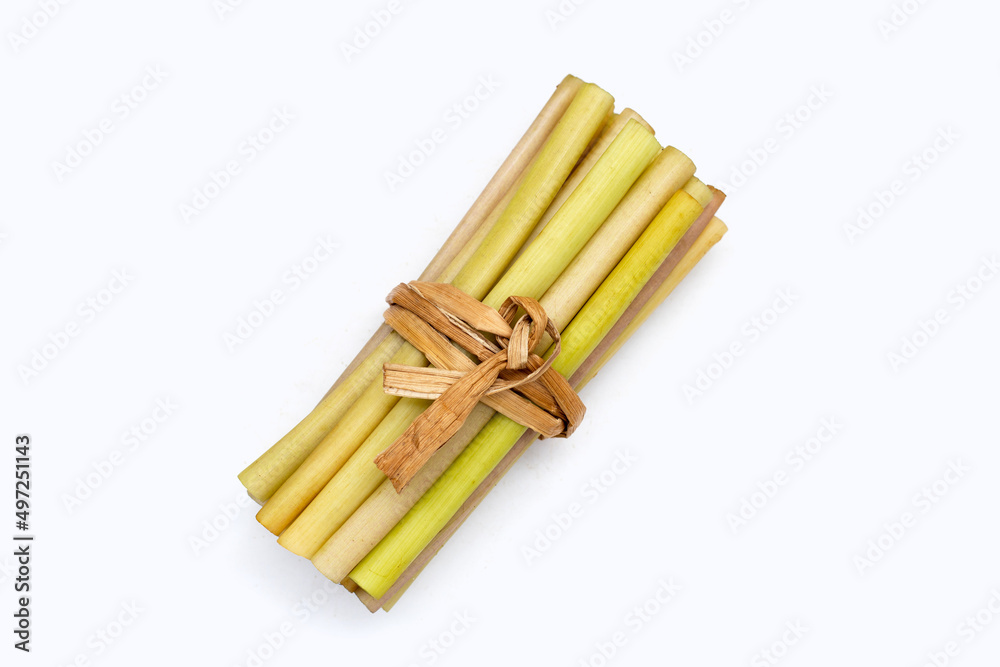 Lotus stem on white background. Lotus stem on white background.