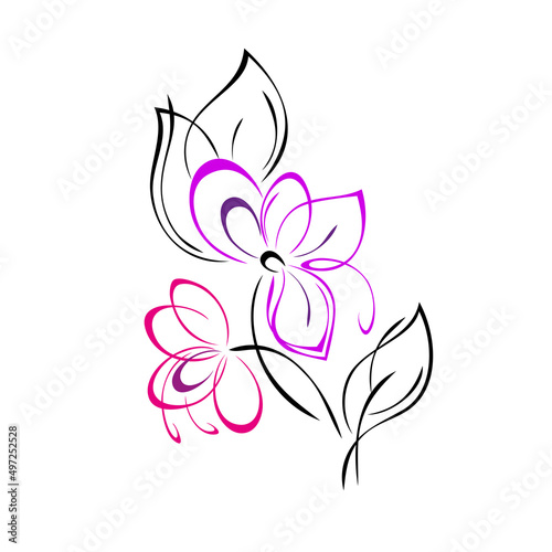 ornament 2262. two stylized blooming flowers on stems with leaves and curls in colored lines. graphic decor